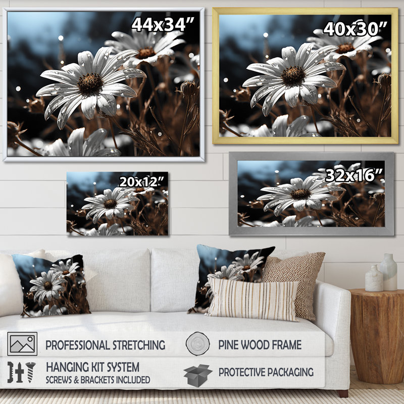 «Daisies Field Sunrise III», reproduction sur toile, Cadre flottant blanc, H 24 po x l 32 po x P 1 po