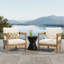 Ensemble de 2 fauteuils club Porto