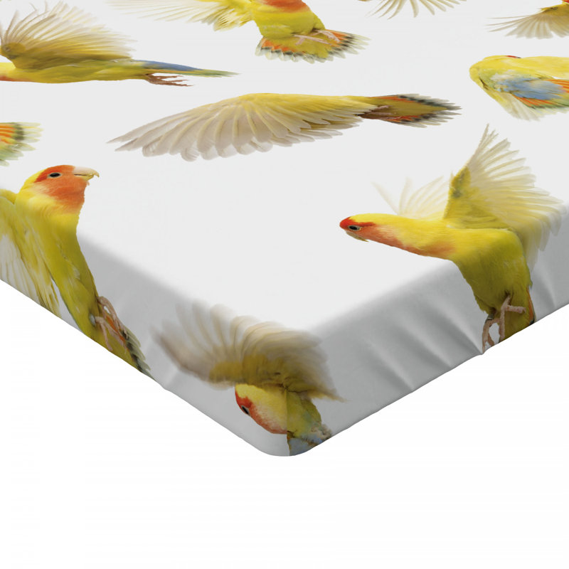 Microfiber Fitted Sheet, Twin XL Fitted Sheet