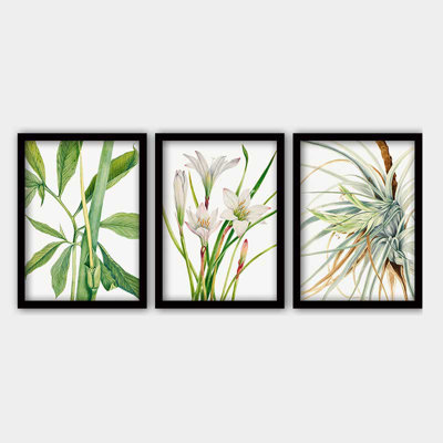 Ensemble de 3 peintures élégantes encadrées décoratives, 13,8 x 17,7 pouces chacune | 100% bois avec cadre 100% polystyrène (épaisseur: 0,8 pouce) | Impression numérique UV, parfaite pour le salon et la décoration intérieure