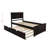 Ilka Twin Platform Bed with Trundle