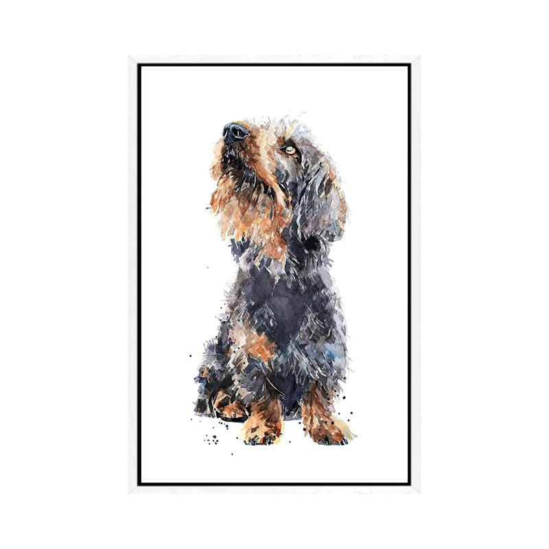 Wirehaired Dachshund II - Painting on Canvas, 66.04 cm H x 45.72 cm W, White Framed