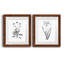 Inky Botanical I - ensemble de 2 peintures-1624088043-1624088054