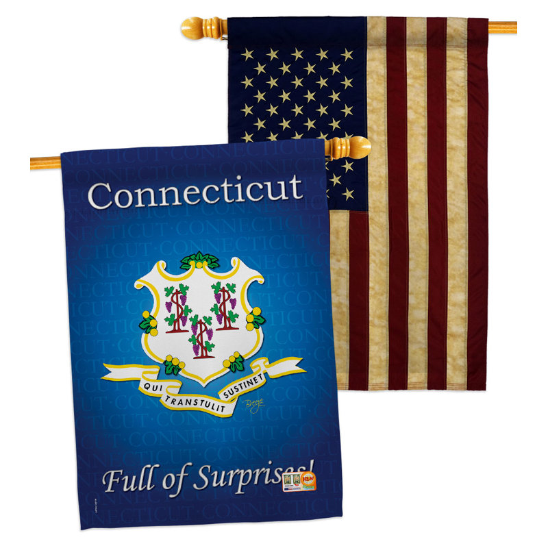 Double Sided 40'' H x 28'' W Polyester House Flag