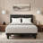 Knickerbocker emBrace 360 Platform Bed Frame | Strongest Bed Available, Motion and Sound Free, Made in USA, Frame Only | Brown, Queen-582542549-582542548