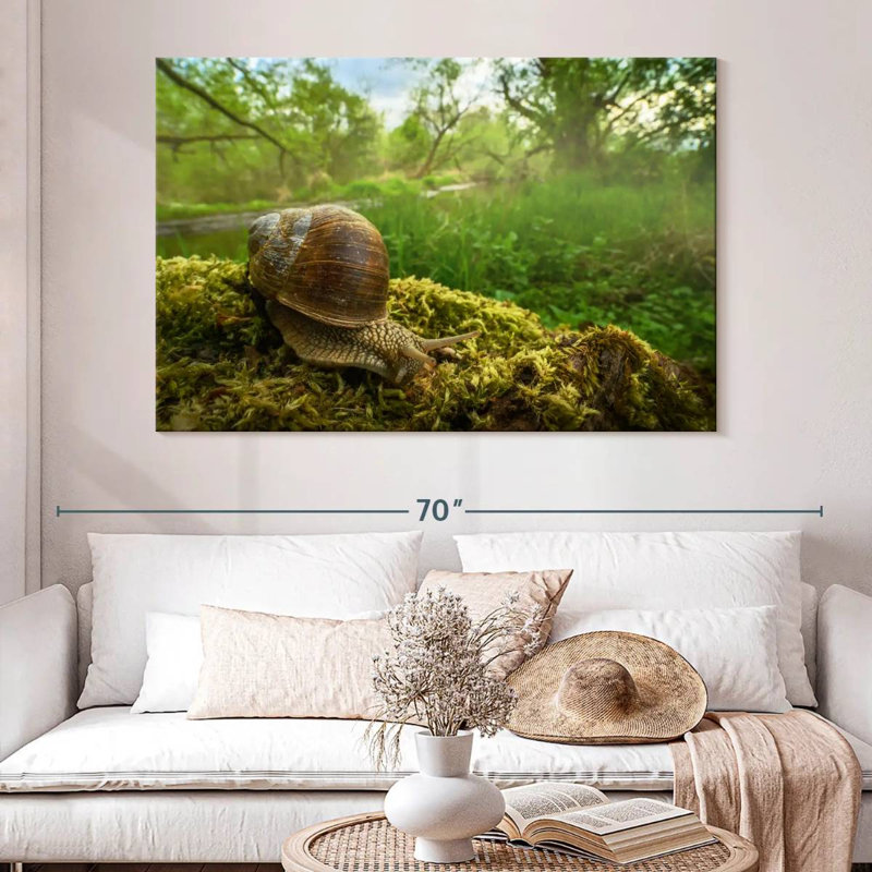 Escargot de jardin romain, H 34 po x l 51 po