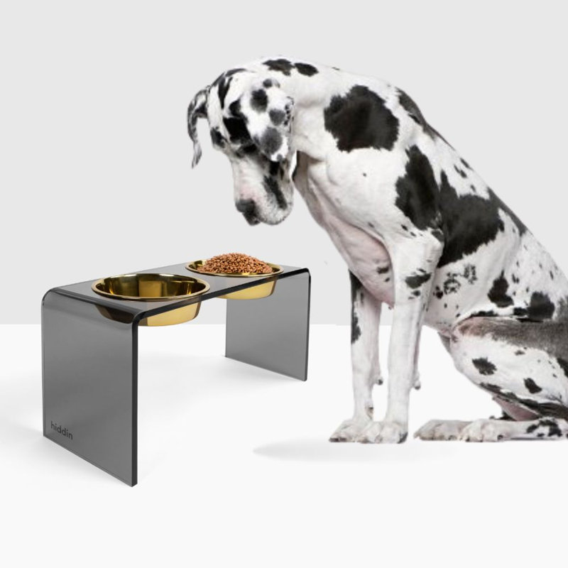 Acrylic Double Bowl Elevated Pet Feeder, Gold