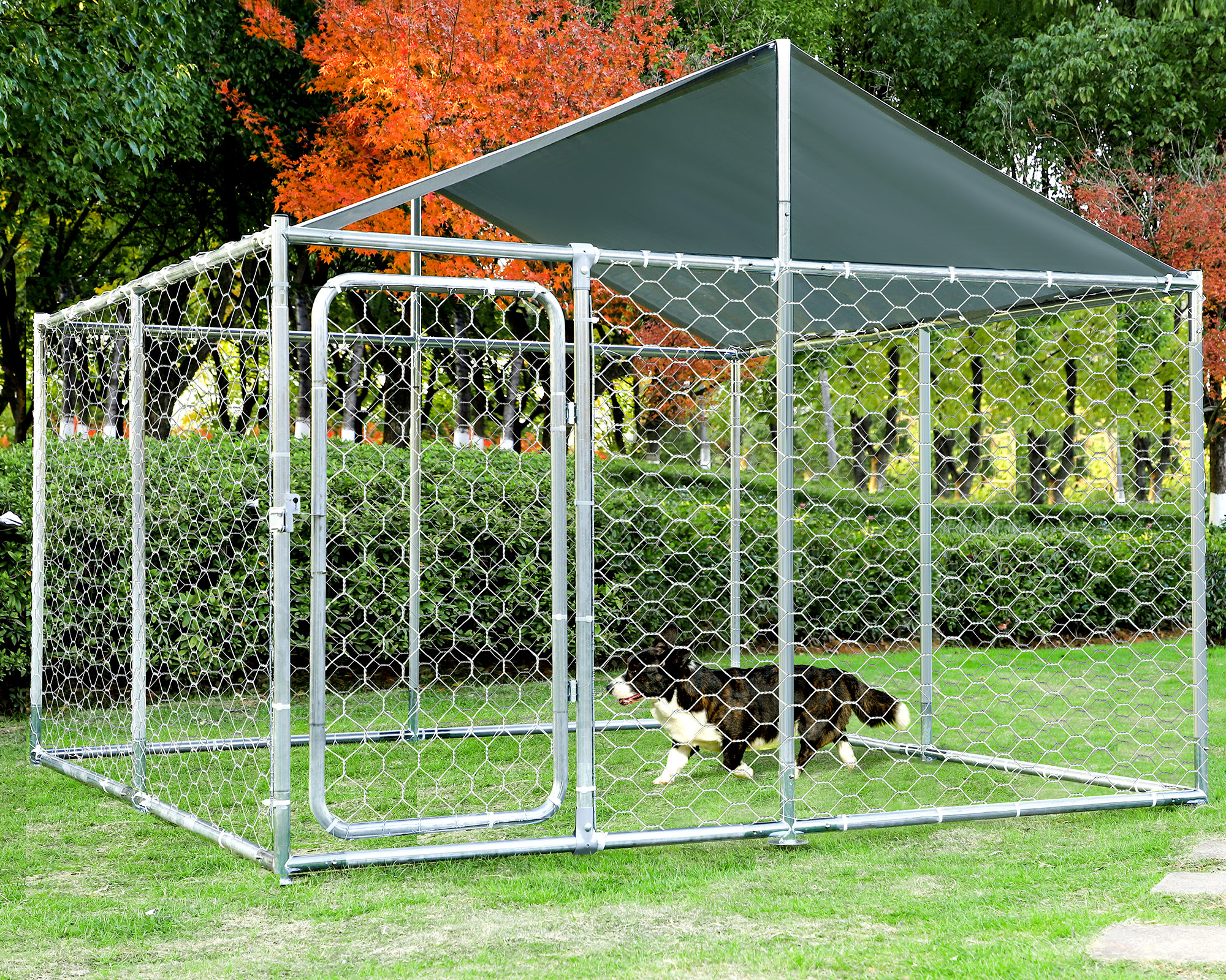 GIODIR Outdoor Large Dog Kennel With Canopy and Lockable Door & Reviews