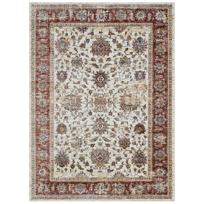 Oriental Indoor Rug