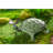 Efrain Metal Turtle with Butterfly Garden Statue