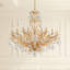 Filigrae 18 Light 39in x 38in Chandelier in Antique Silver with Clear Heritage Handcut Crystals-856878948