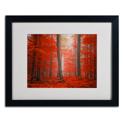 Philippe Sainte-Laudy - Single Picture Frame Photograph on Canvas