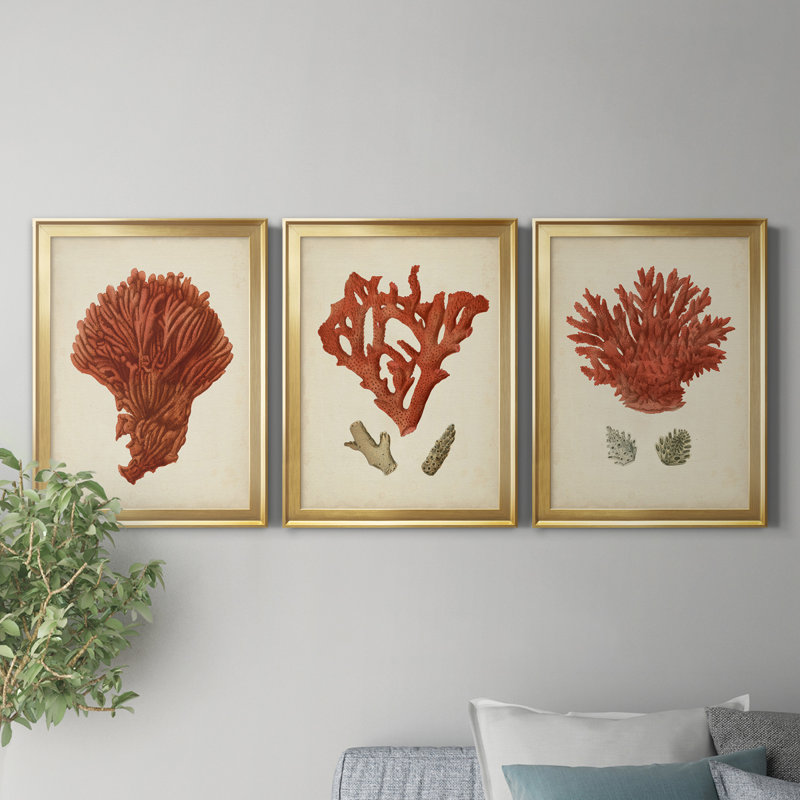 Antique Red Coral I - ensemble de 3 impressions sur toile encadrées, Doré, H 18,5 po x l 73,5 po x P 1,5 po
