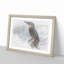 Graceful Kingfisher Bird - Picture Frame Graphic Art Print-56734973-56734978