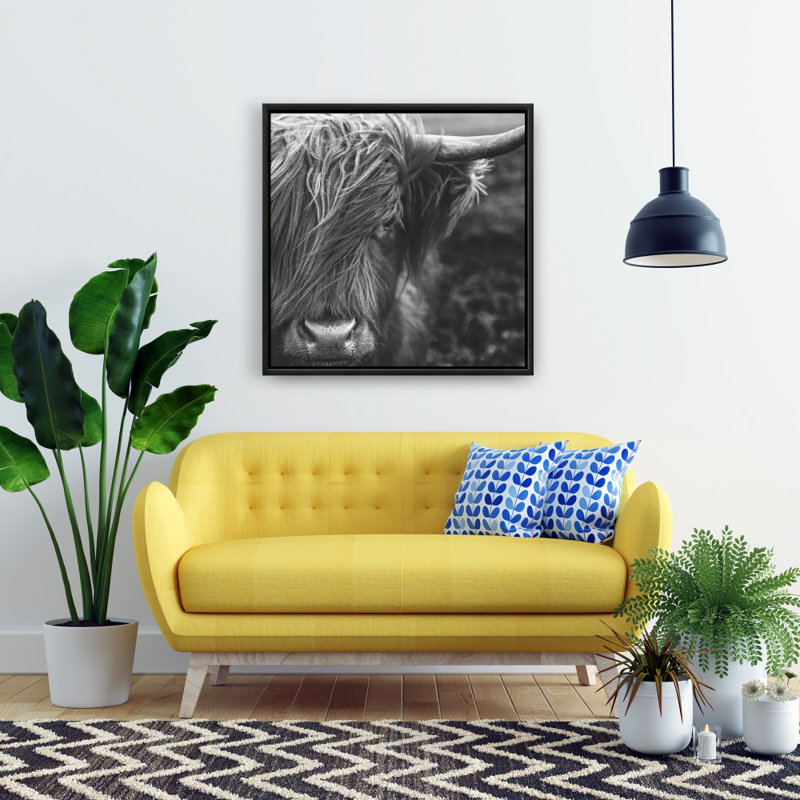 " Monochrome Portrait Highland Cow "