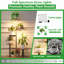 Plant Stand - Set of 5