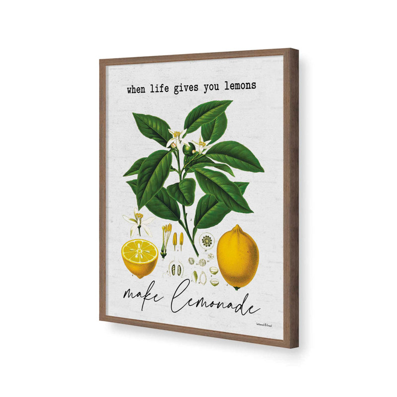 «Make Lemonade» par impression d'art à lettres et doublée, L 18 po x H 24 po, Brun, Impression encadrée