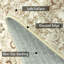 Area Rug-1546685043-1546685042