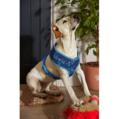 Flora Fauna Greenwich Flowers Harness M