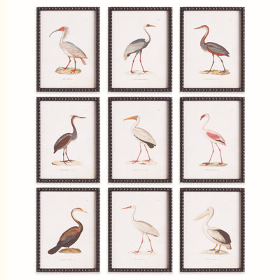 ETUDE D'OISEAUX AQUATIQUES, ENSEMBLE DE 9