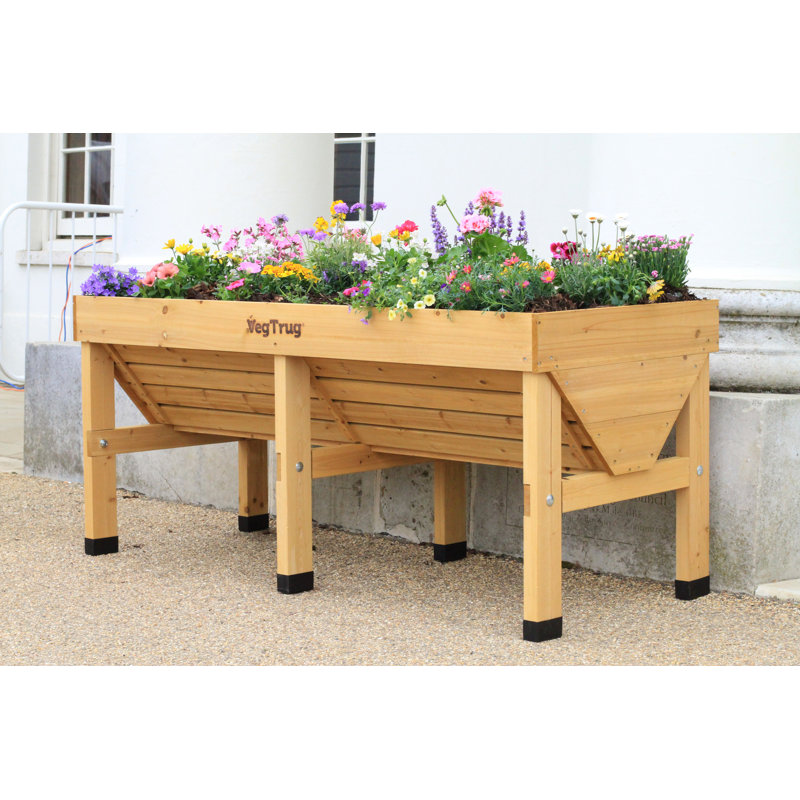 VegTrug medium medium - natural