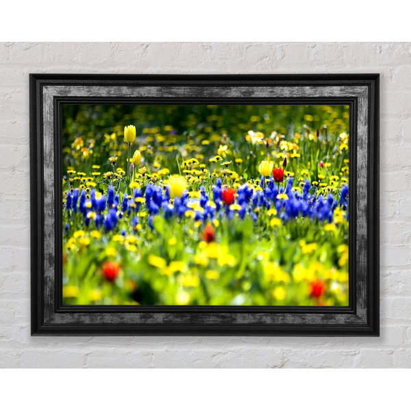 Bright Star Spring Fling - Single Picture Frame Print | Wayfair.co.uk