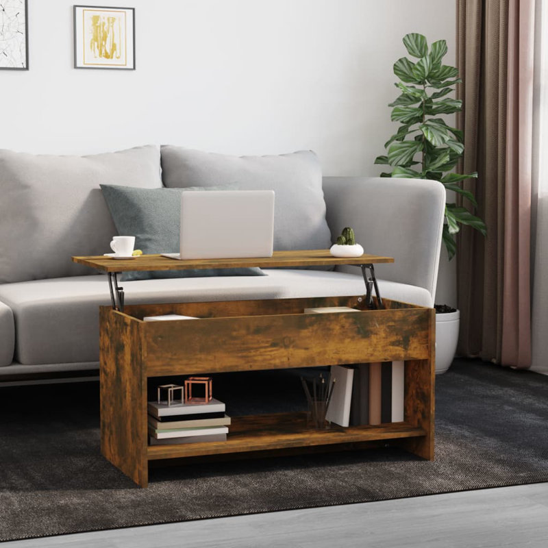 Jarosłav Frame Coffee Table with Storage, Brown/Black