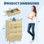 Commode cannelée à 5 tiroirs avec poignées dorées, armoire de rangement en bois de 46 po de hauteur, conception à profil courbé