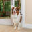 Freedom Patio Panel-53501608-69488430
