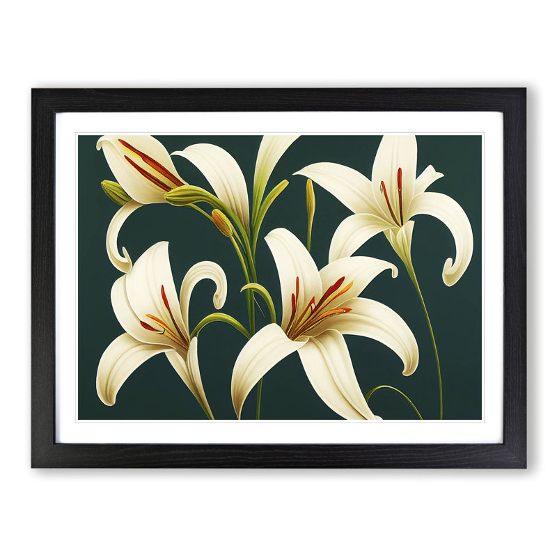Collection of Lily Flowers Vol.2 - Framed Print, Black, 46cm H x 64cm W x 2cm D