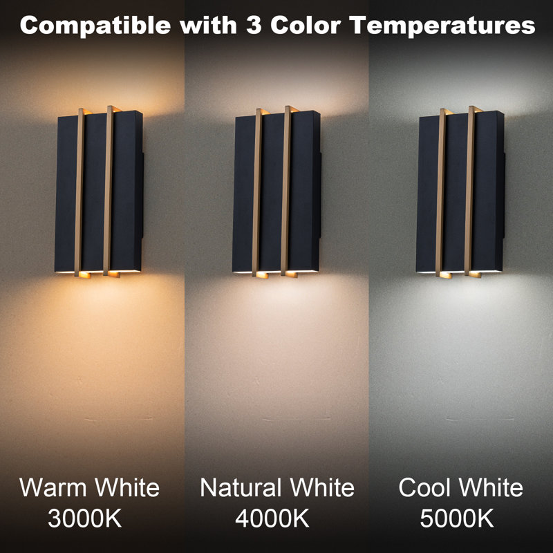 Matte Black LED Outdoor Wall Light