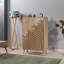 Breault Rectangle Accent Chest
