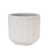 White est en rupture de stock