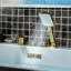 Robinet de baignoire romaine surdimensionné à fixation sur le comptoir avec douche à main, robinet de baignoire à 4 trous à deux poignées-102673607