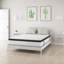 Matelas à ressorts mi-ferme de 12 po Alwyn Home Ambrose-17690595
