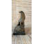 Figurine cheval signée Williams