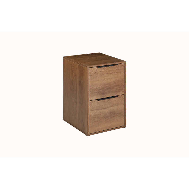 Lanty 15.1'' Wide 2 -Drawer File Cabinet, Brown