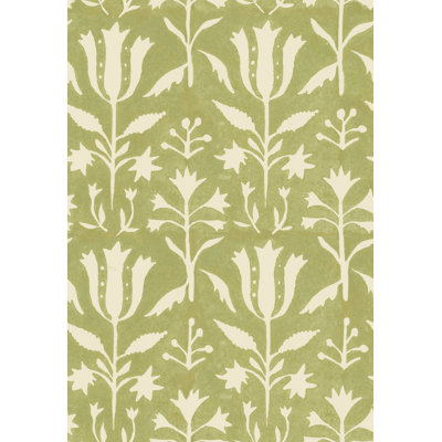 TULIPAN Beechnut