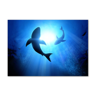 Two Sharks - Wrapped Canvas Print