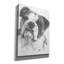 «American Bulldog» par Barbara Keith-1356925392