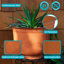 Ensemble de 2 pots à fleurs ronds pour l'extérieur en métal 14,5 po x 14,5 po x 11,25 po Ralen-84080805-84080806