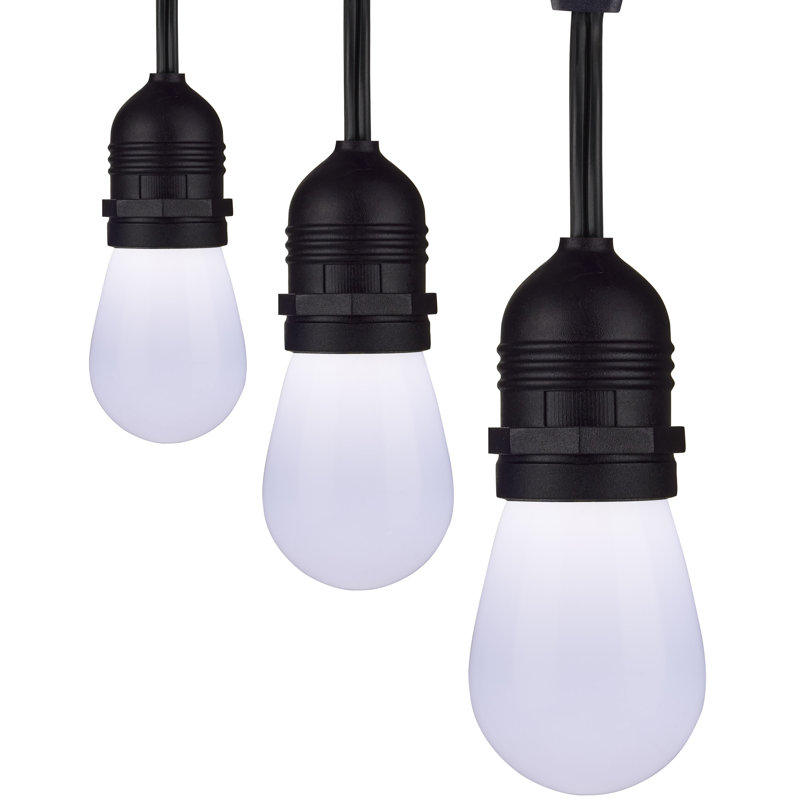 Outdoor 12 - Bulb 288'' Plug-in String Light