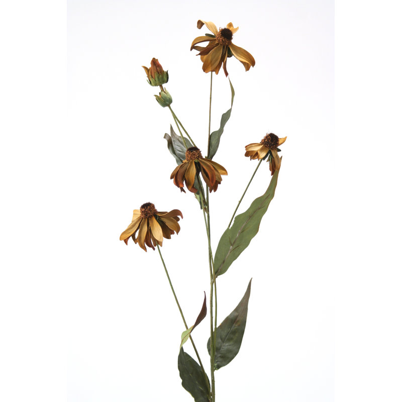 Arrangement, Brown