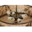 Bridgewater 8 - Light Drum Chandelier