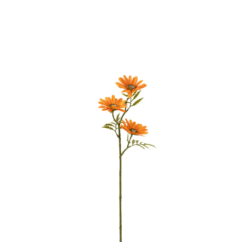 Daisy Arrangement, Yellow