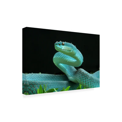 Art sur toile, Yan Hidayat The Viper