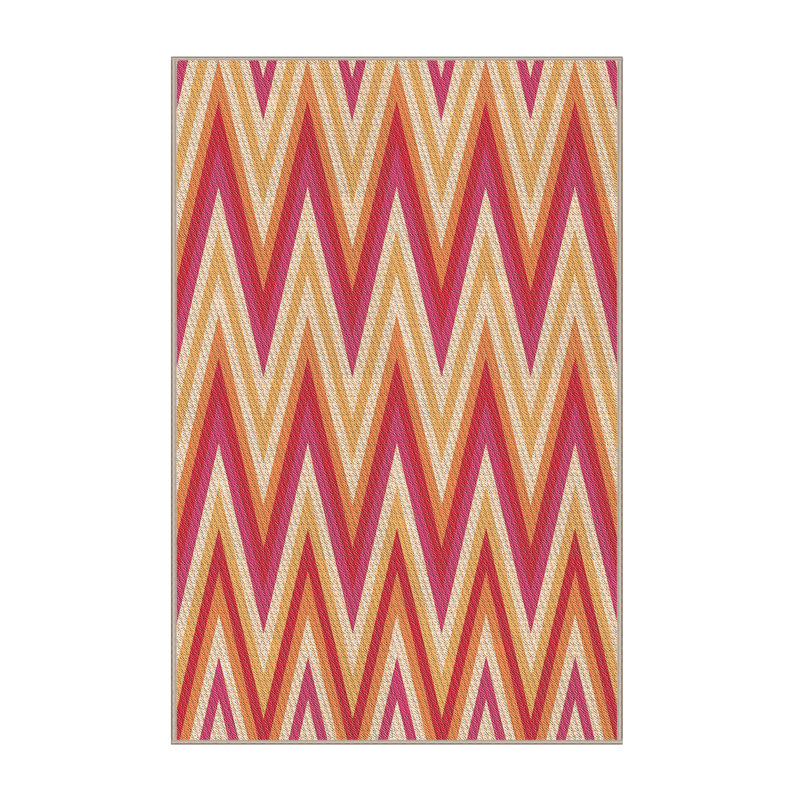 Washable Indoor Rug