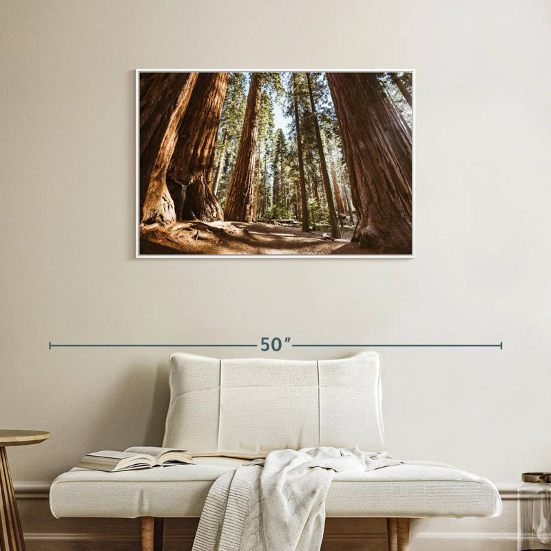 Été dans le parc Sequoia, Cadre flottant blanc, 37 po x 25 po