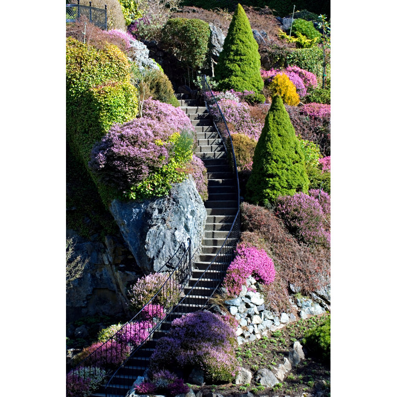 "Escalier paysagé à Butchart" par Tashka - photographie sur toile tendue, L 12 po x H 18 po