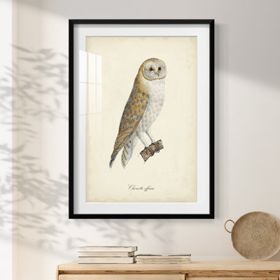 Haamed -Gallery Wrapped Canvas